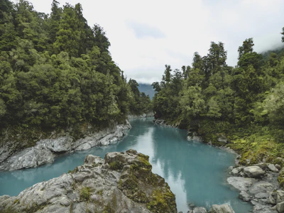 A serene view of Río Celeste winding through lush green forest under soft morning light.