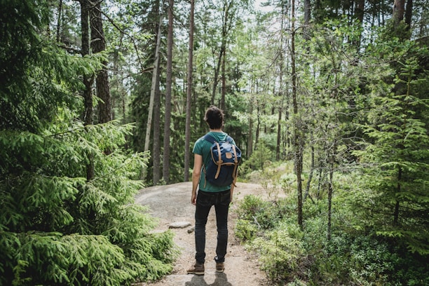 A backpacker checking a map on a sunny trail surrounded by lush greenery.