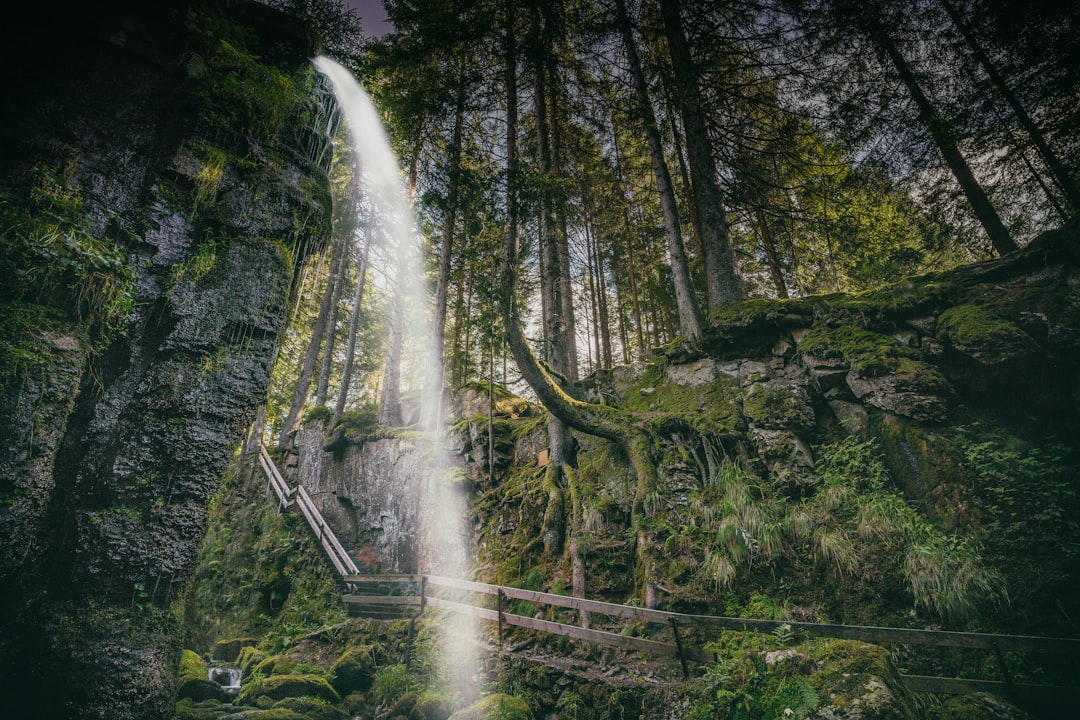 travelers stories about Forest in Menzenschwander Waterfalls, Germany