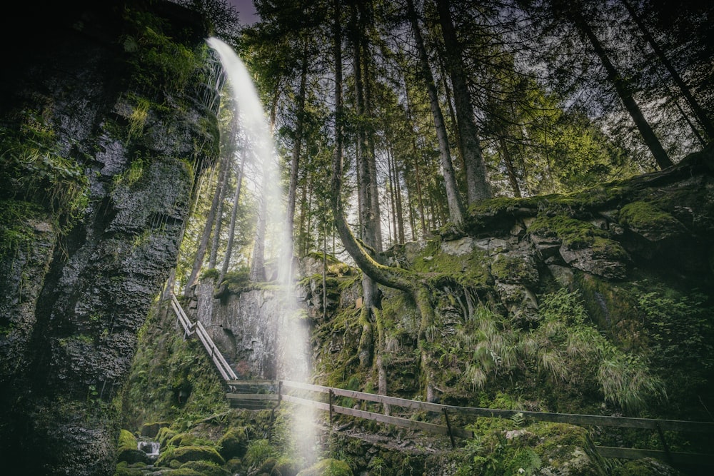 waterfall on forest