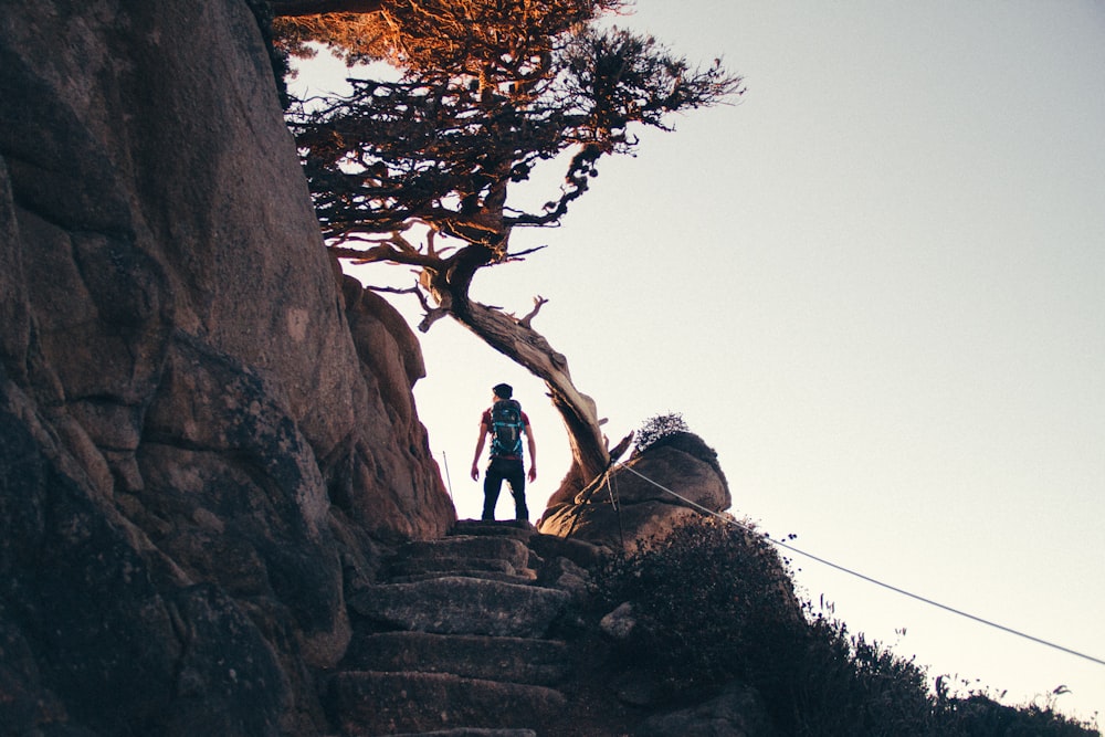 man standing near brown tree