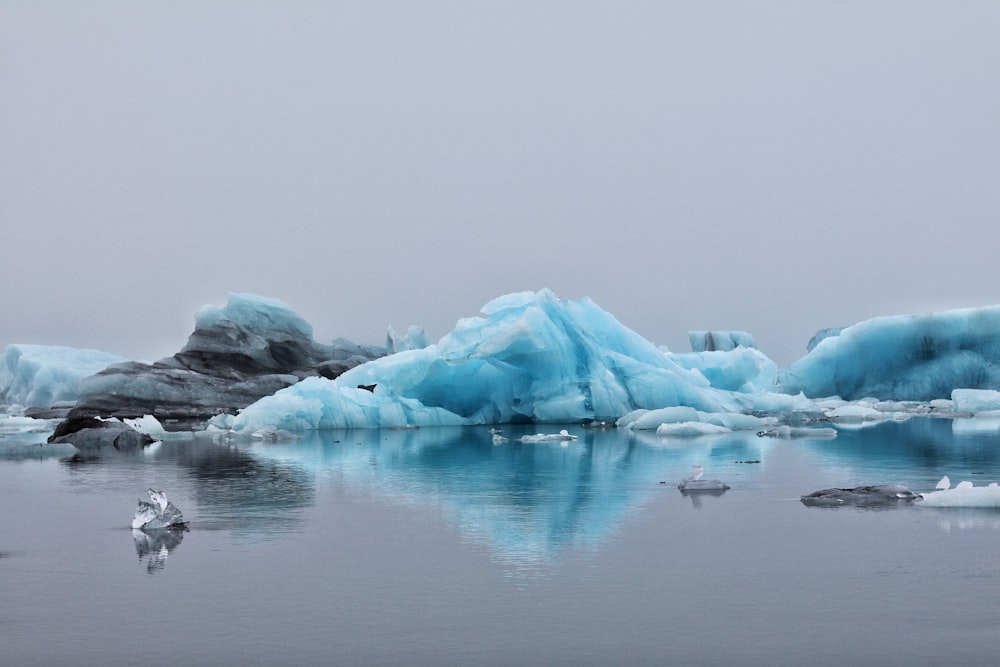 icebergs on body of water