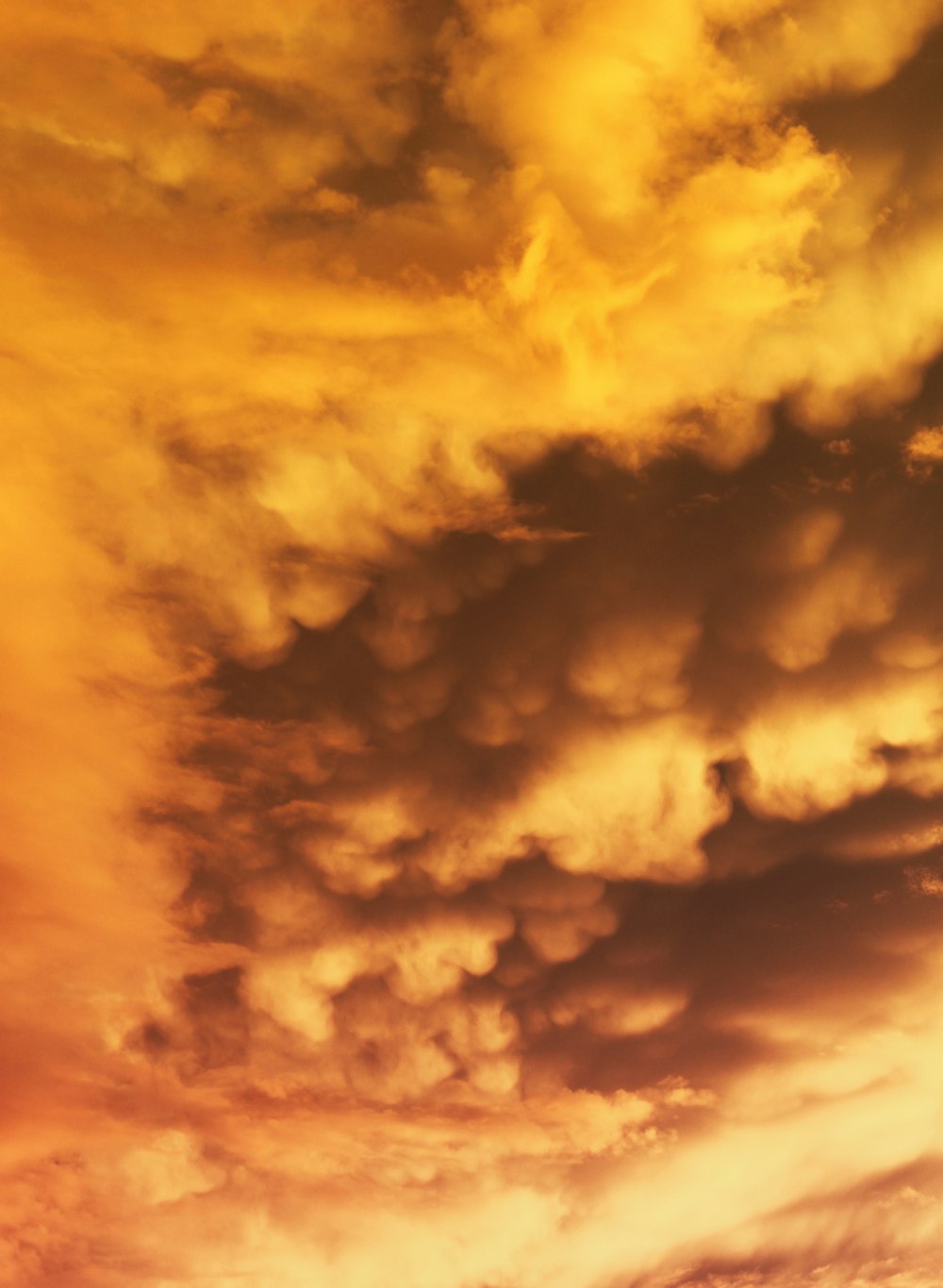 brown and black cloudy sky