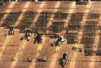 group of people hanging on wall during daytime