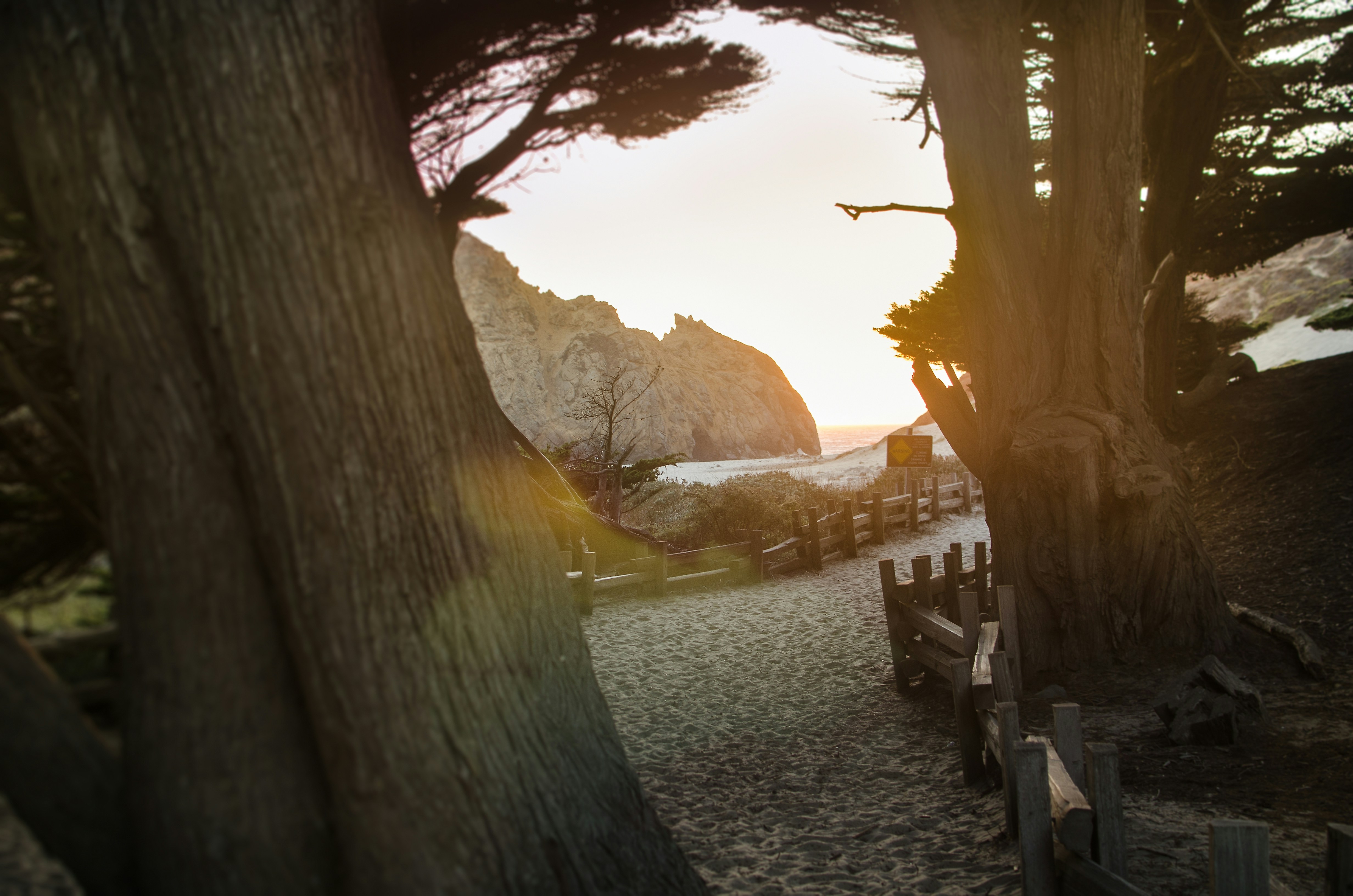 Weg zwischen Bäumen