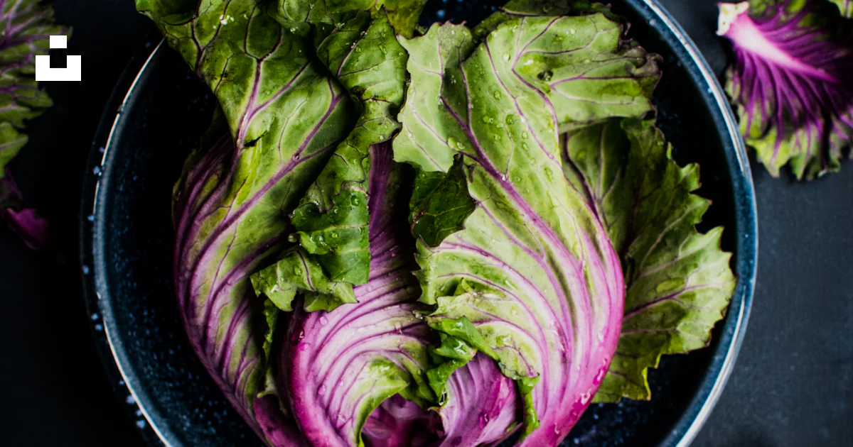 Verduras Roxas Vegetal roxo e verde na tigela preta foto – Imagem grátis sobre ...