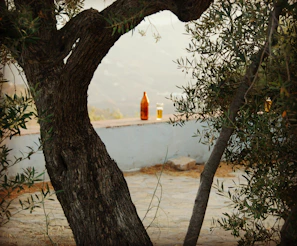 Close-up of a rustic bottle of golden olive oil resting on a wooden table with olive branches nearby.