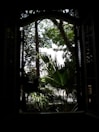 View from the window showing a peaceful garden with tropical plants.