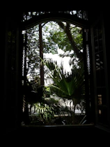 View of lush tropical garden from suite window on a sunny day.
