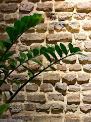 A sleek concrete planter housing a vibrant green plant against a raw brick wall.