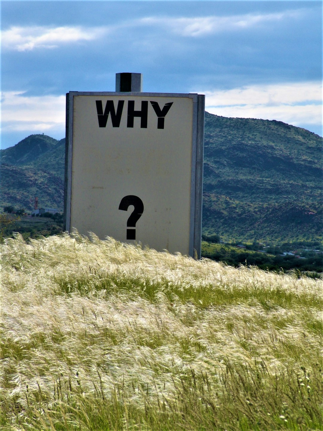 A photo of a sign in a mountain field, simply reading "Why?"
