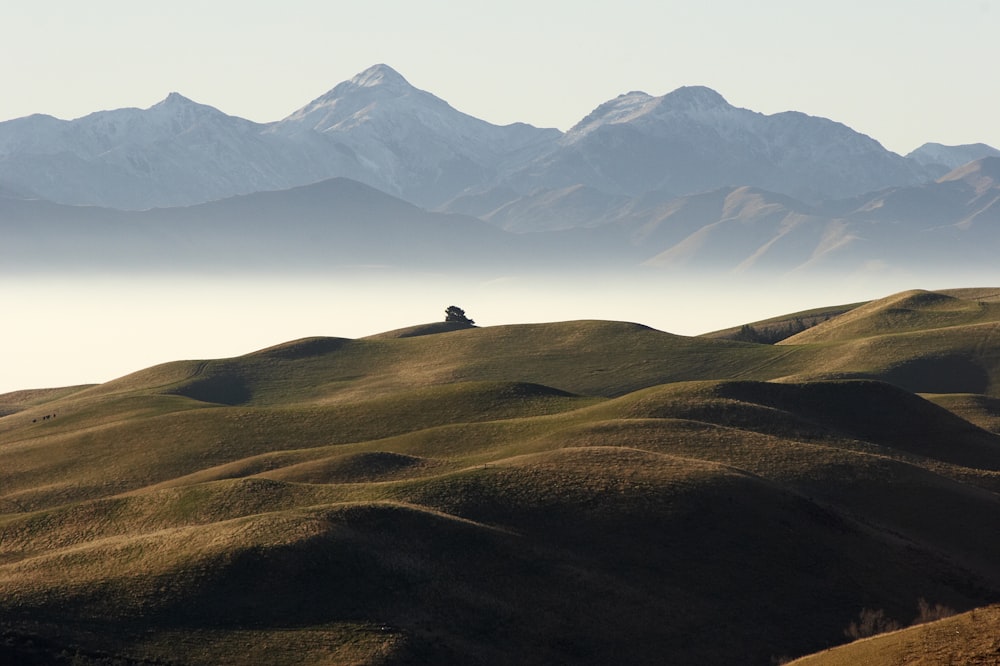 montañas con nieblas bajo el cielo blanco