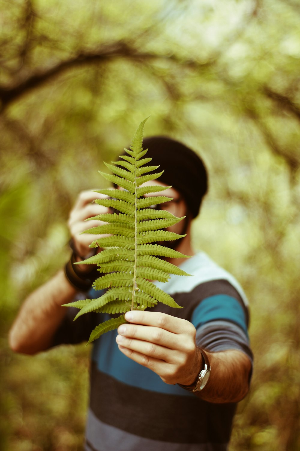 man holding fern plant selective focus photography