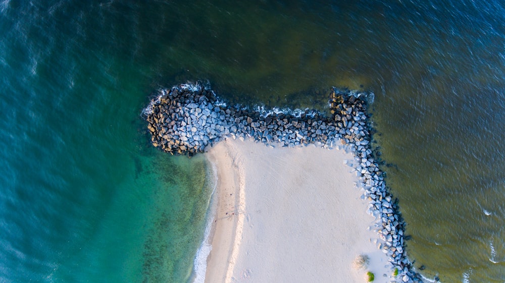 aerial photography of ocean and white sand