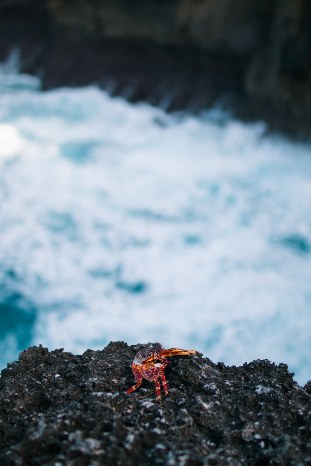 shallow focus photography of rock formation