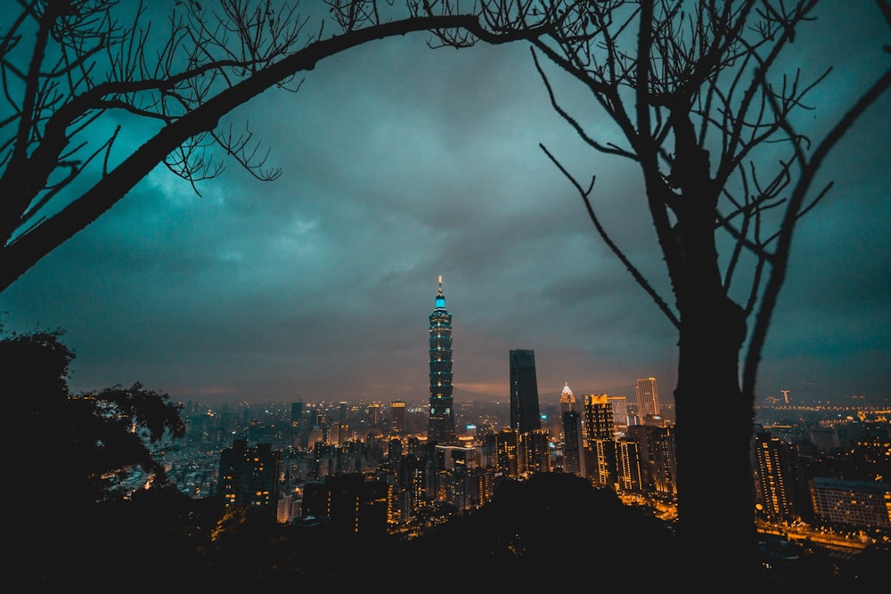 silhouette of bare trees with cityscape background