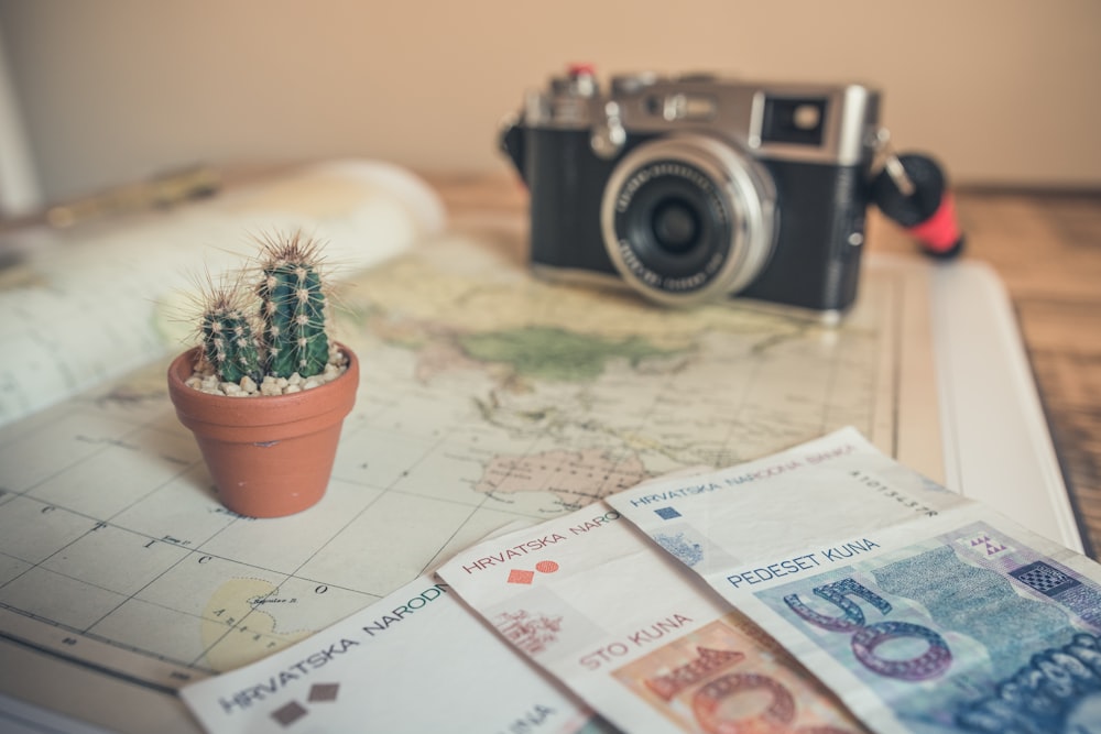 Traveller's camera, foreign currency, and cactus on a map