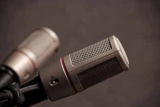 two gray microphones