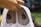 A pair of white shoes are being held by a hand from inside the shoe. The shoes have black logos printed inside with the brand name. The background appears blurred with hints of green and yellow colors.
