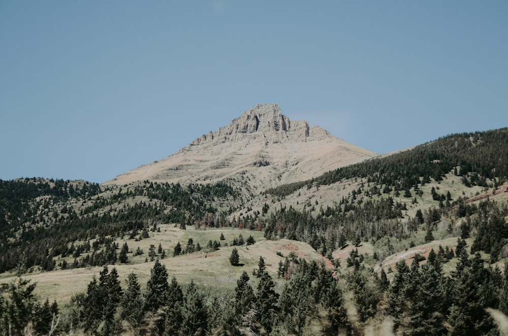 low angle view of mountain under sky