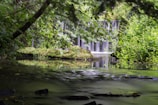 A peaceful moment of natural healing in a serene setting.