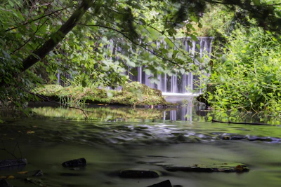 A serene setting with natural elements symbolizing love and energy.