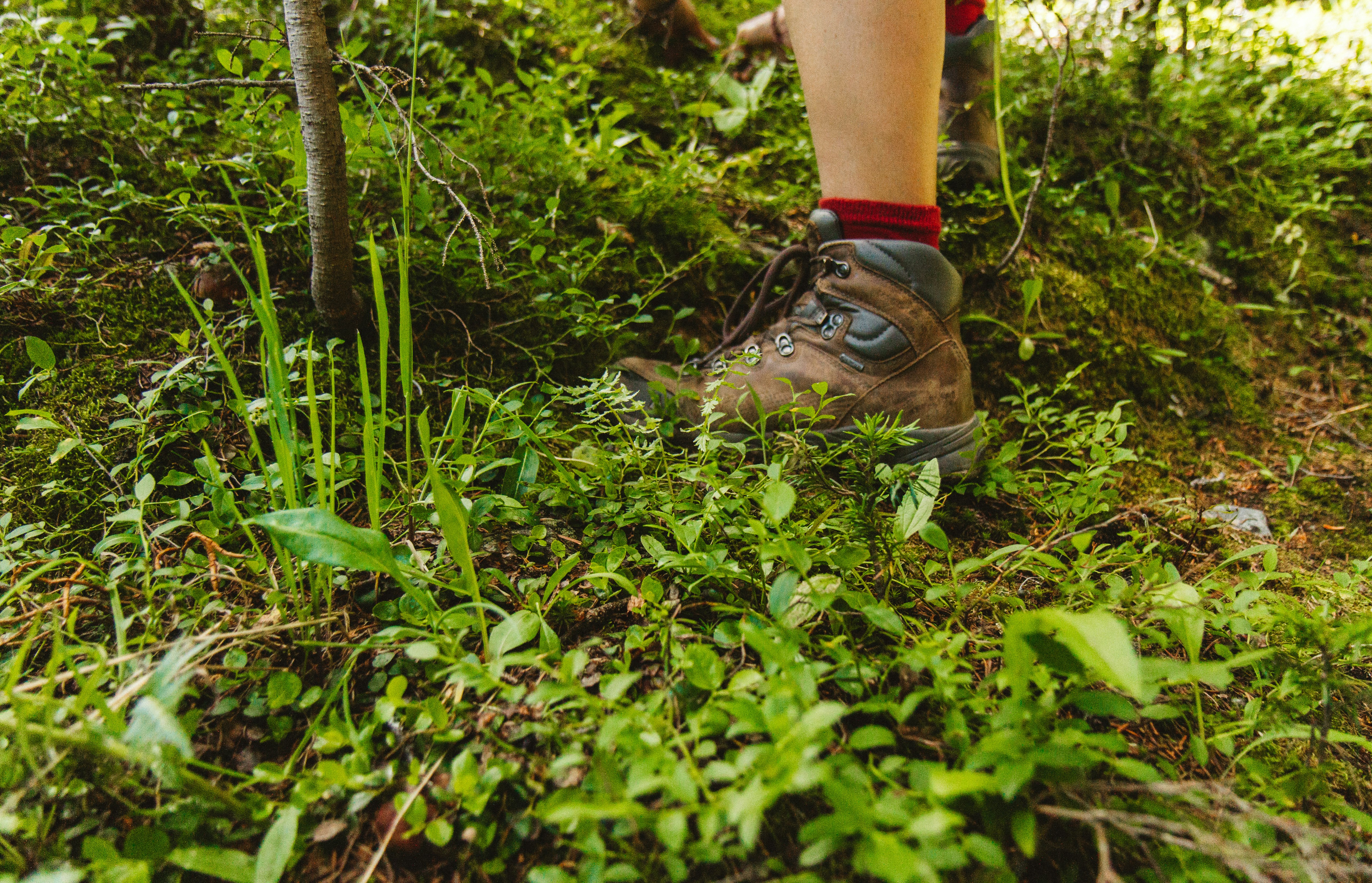 person wearing hiking shoes standing on green grass