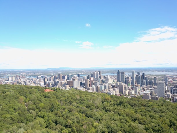 An expansive view of a city skyline with numerous high-rise buildings, bordered by lush, green trees in the foreground. The city stretches out towards a distant horizon under a bright blue sky dotted with clouds.