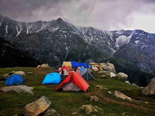 assorted-color outdoor tents on green grass field near gray mountain under gray sky in Dharamshala India