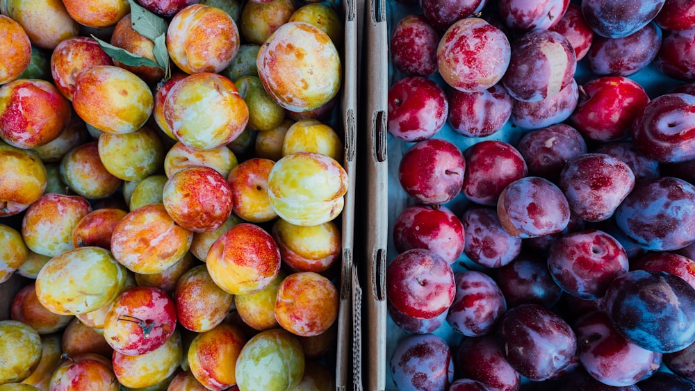 fruits ronds rouges, jaunes et verts