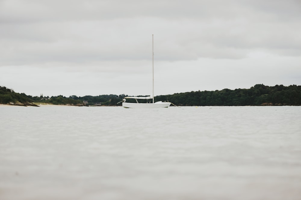 日中の島近くの白いボート
