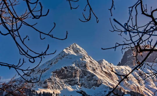 view of stone mountain from leafless trees in Interlaken Switzerland