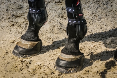 Side view of a farrier using the Hoofjack to comfortably support a horse's hoof.
