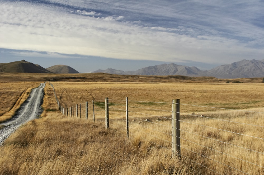 gray steel fence on brown grass field