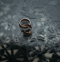 two bronze-colored rings