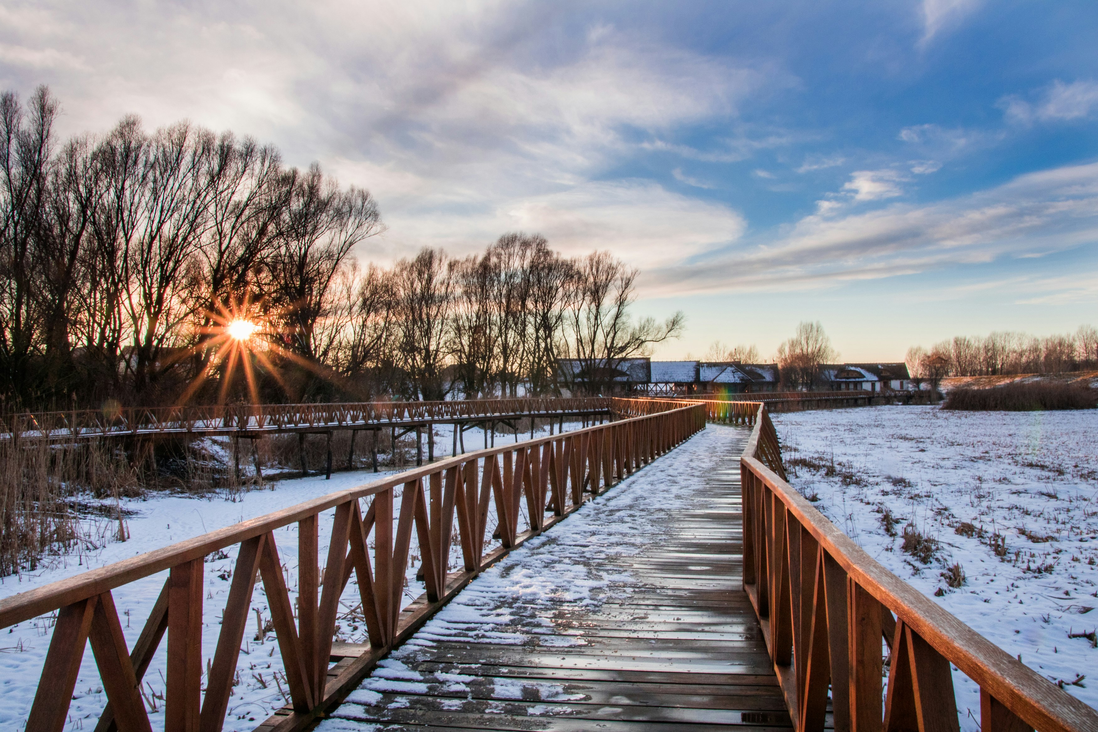 brown wooden dock on river during sunset