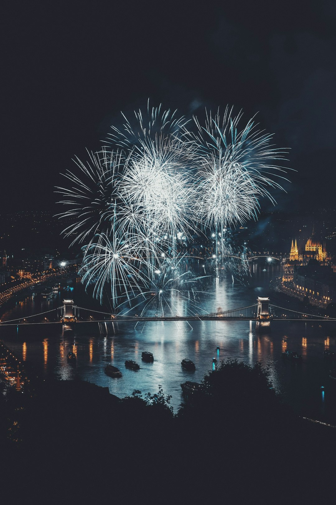 photo of Budapest Lake near Erzsébet Bridge