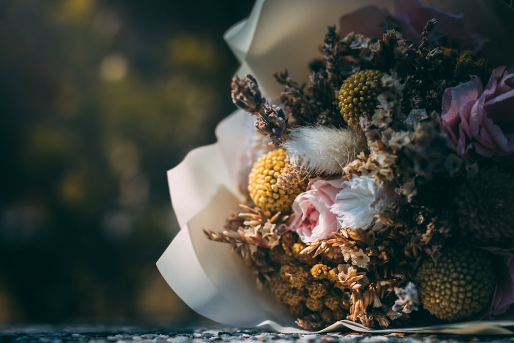 brown petaled flowers