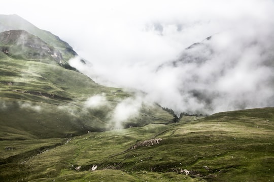 green mountain and fog in Kaiser-Franz-Josefs-Höhe Austria