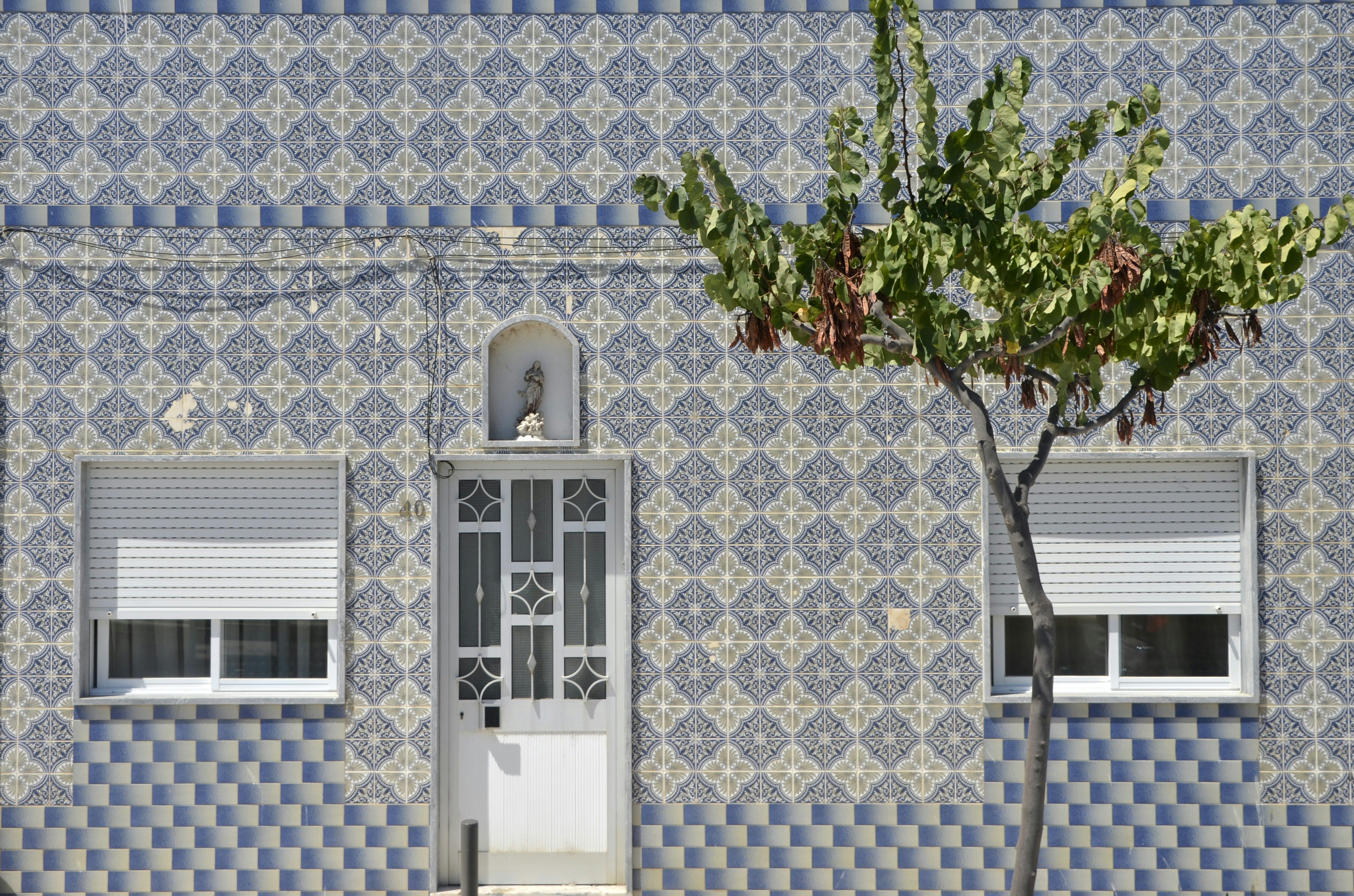 Associação Domus Mater banner