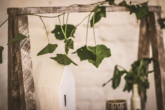 An earthy propagation piece featuring fresh green cuttings nestled in a minimalist wooden frame.