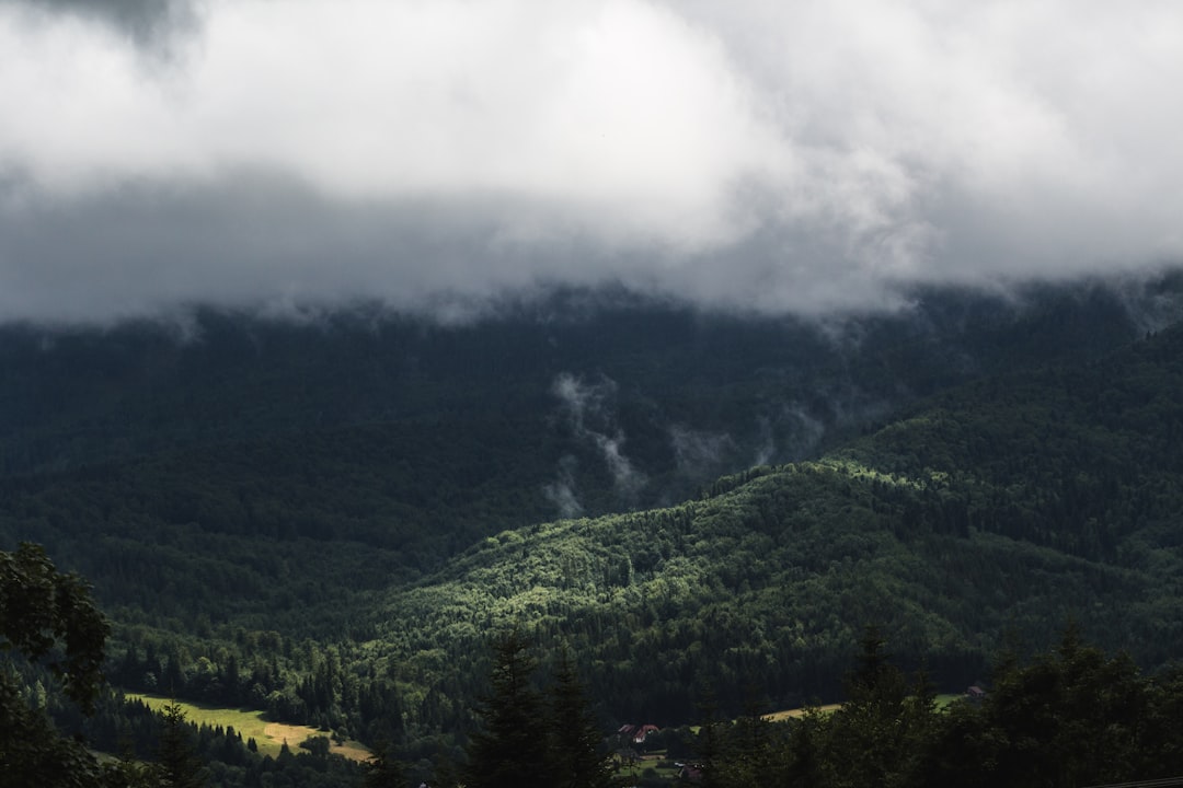 Hill station photo spot Zawoja Tatra County