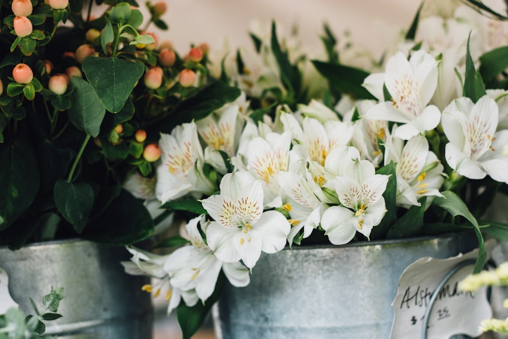 flowers in bucket