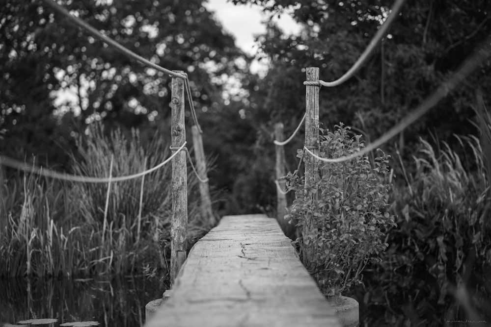 grayscale photo of a wooden hanging bridge