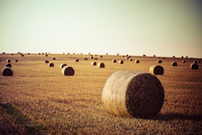 landscape photography of bale of hays straw teams background