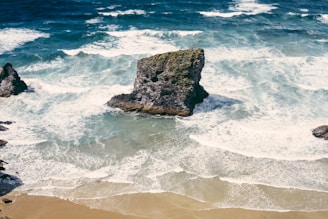 aerial view of seashore during daytime