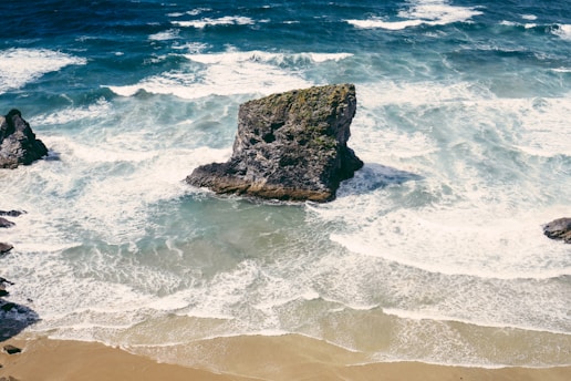 aerial view of seashore during daytime