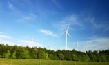 white windmill surrounded by tall tree under blue sky at daytime
