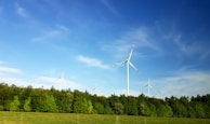 white windmill surrounded by tall tree under blue sky at daytime