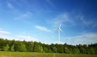 white windmill surrounded by tall tree under blue sky at daytime